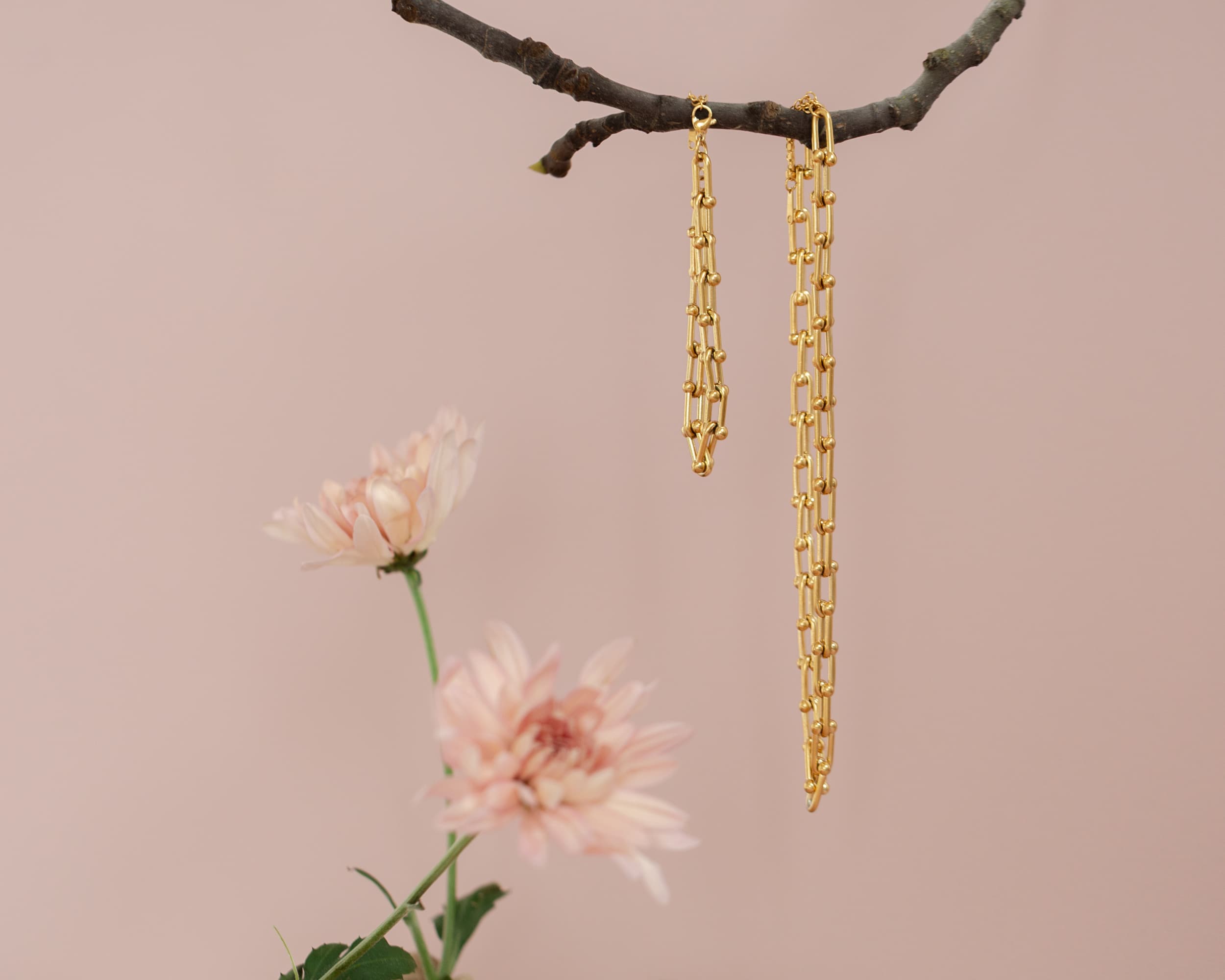 Gold jewelry on branch
